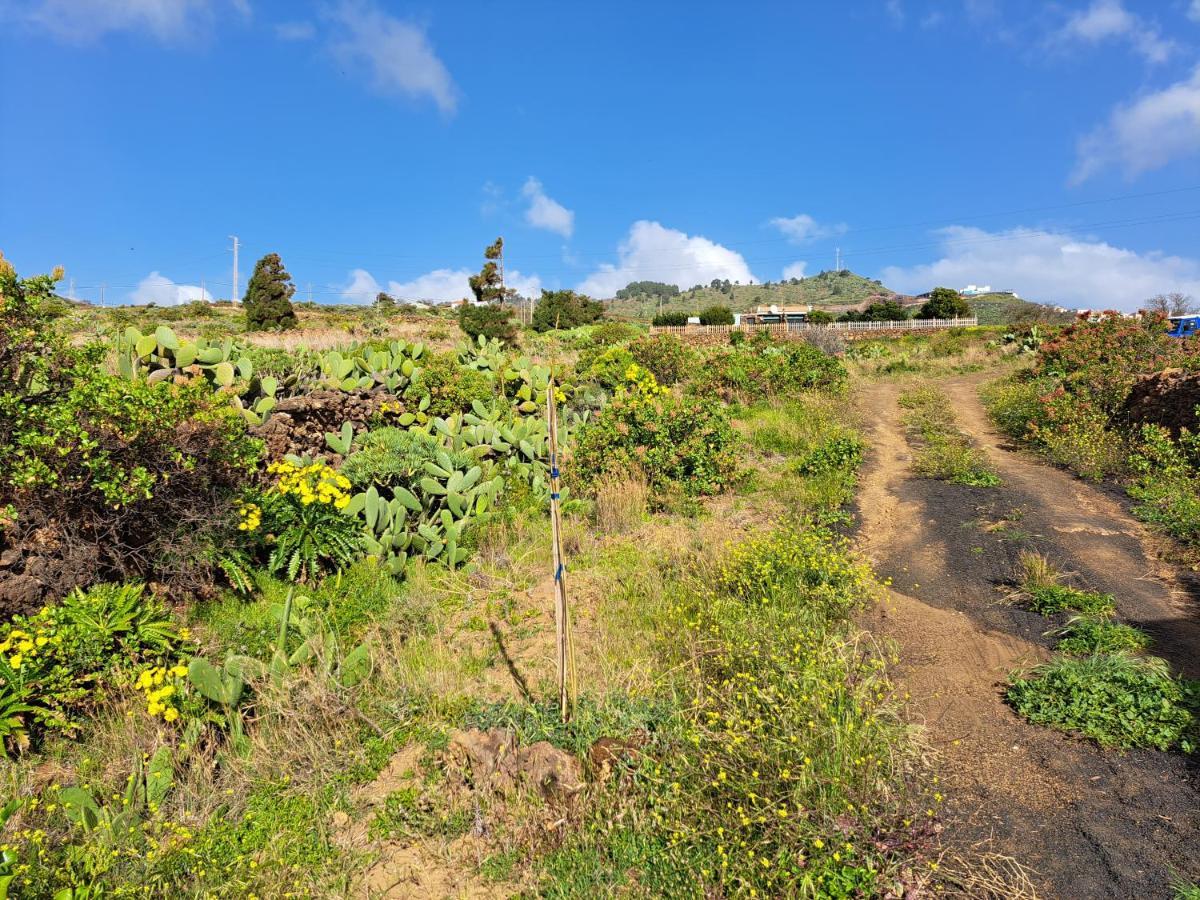Las Casitas De Pao El Pinar  外观 照片