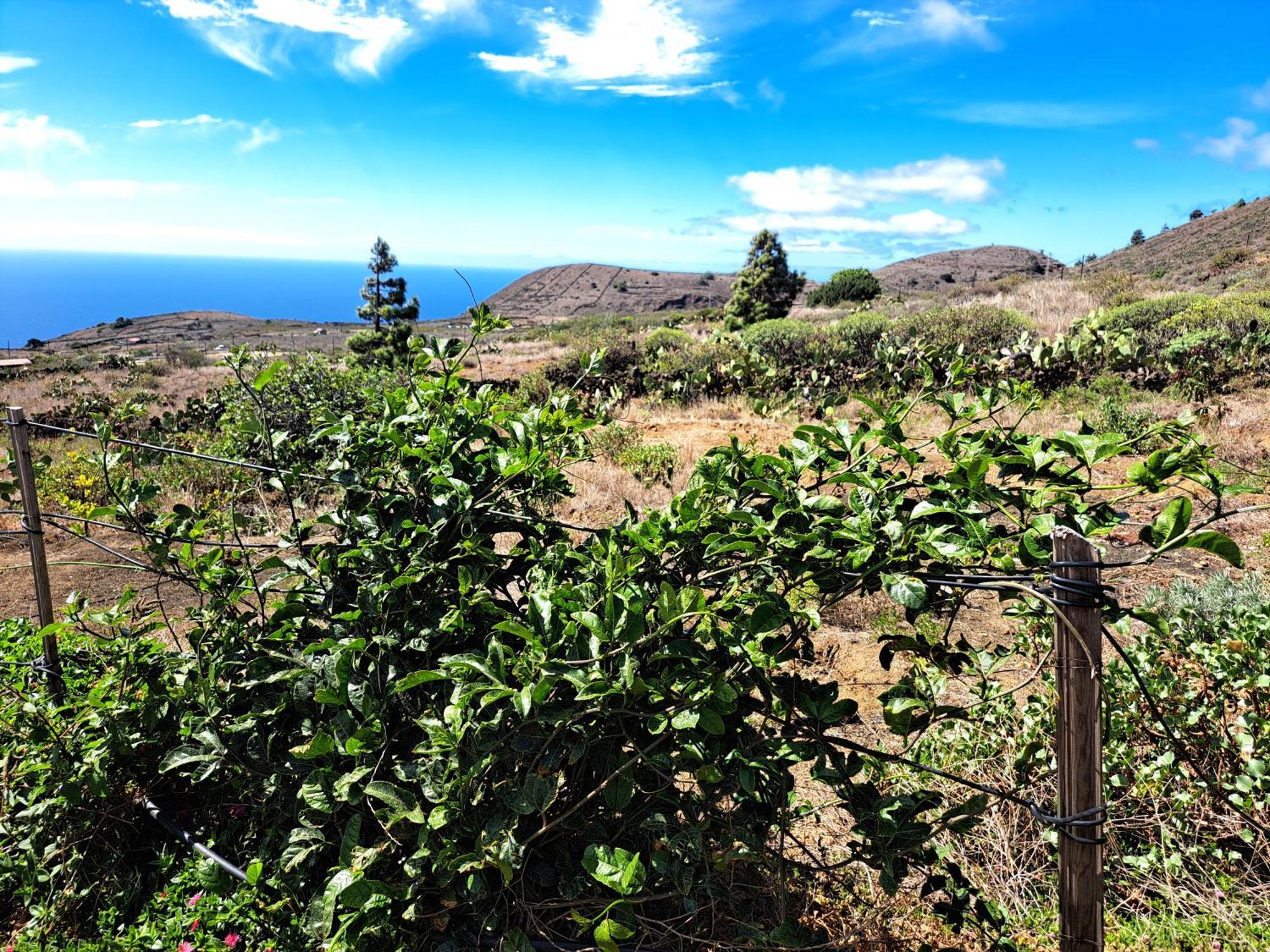 Las Casitas De Pao El Pinar  客房 照片
